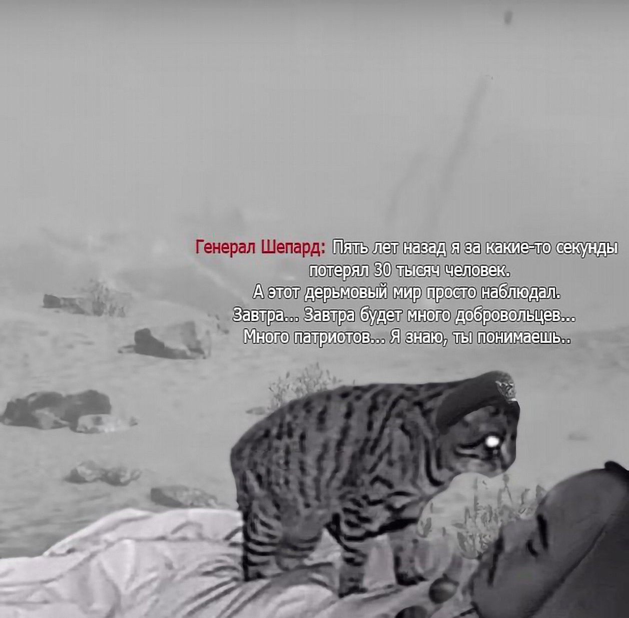 Генерал Шепард и кот Мем с котом в военной фуражке, говорящим фразу генерала Шепарда из Call of Duty: Modern Warfare 2