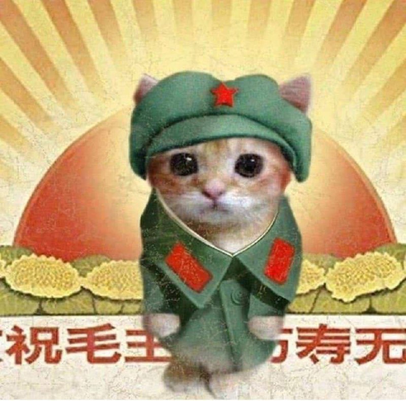 Котёнок в военной форме Котёнок в военной форме с красной звездой на фоне китайского пропагандистского плаката.