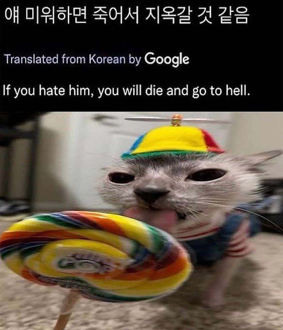 Кот в шапке с пропеллером "If you hate him, you will die and go to hell" Кот в шапке с пропеллером с большим разноцветным леденцом на палочке, над которым размещена надпись: "Если ты его ненавидишь, ты умрёшь и отправишься в ад"
