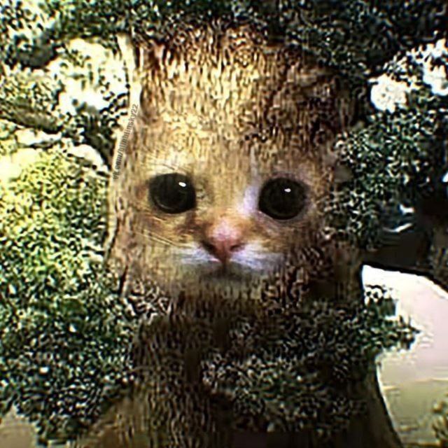 Кот в дереве Кот с большими глазами, в фотошопе которого его тело заменено на ствол дерева.