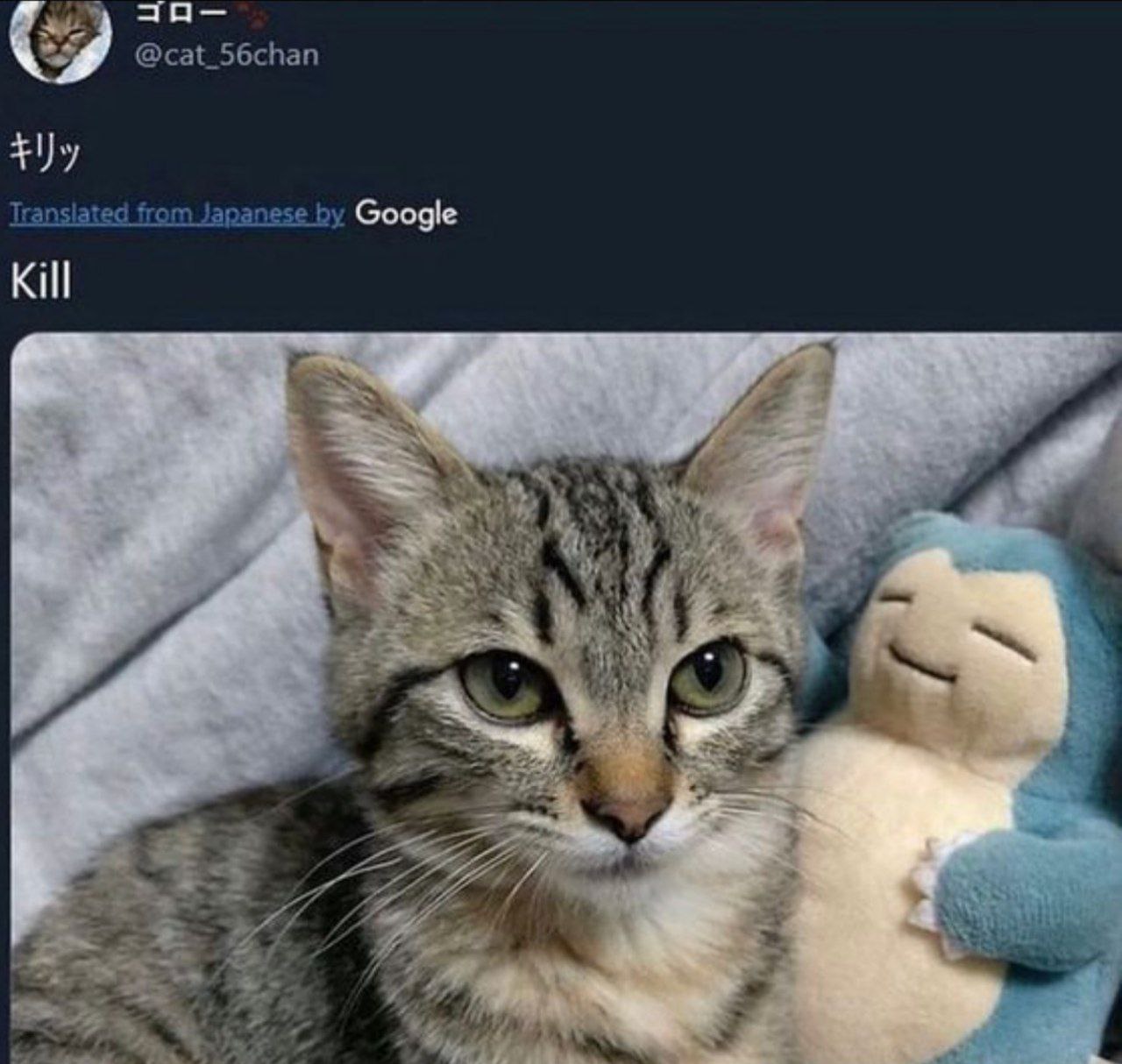Кот Килл Мем с котом и покемоном Снорлаксом, где японское слово "キリッ" переведено Google как "Kill".
