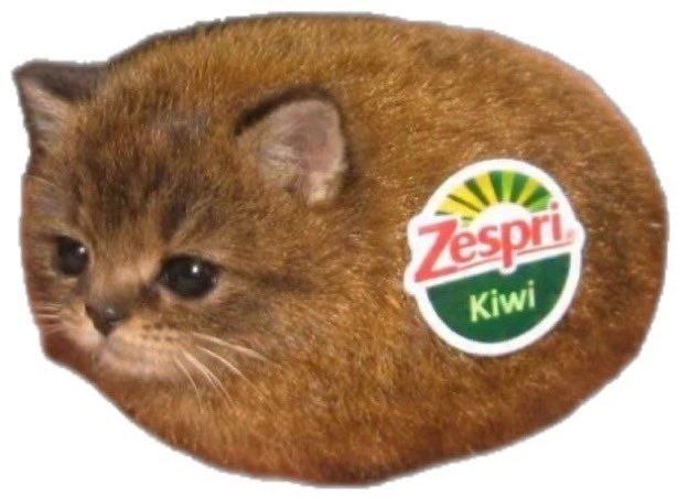 Пушистый котёнок, похожий на киви, с наклейкой Zespri Kiwi на боку