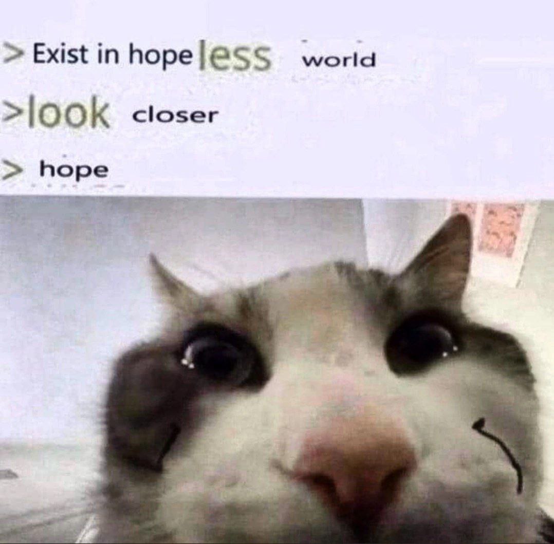 Кот "Exist in hopeless world" Кот, который призывает посмотреть внимательнее на "hopeless" и увидеть "hope"
