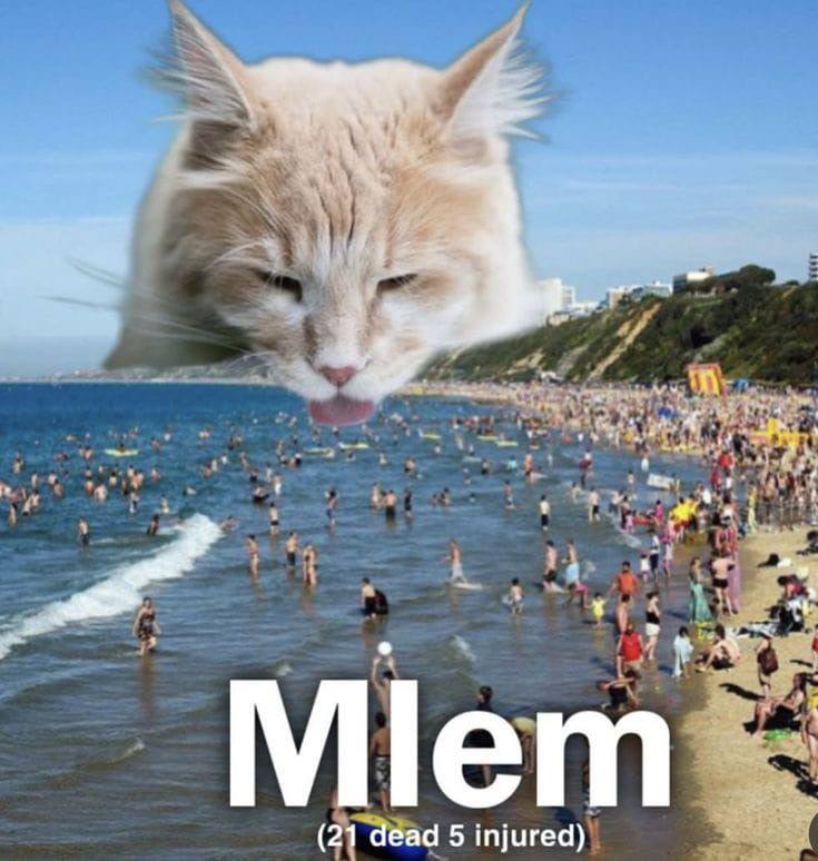 Кот Млем на пляже Огромный кот Млем наклоняется к океану, полному людей, на многолюдном пляже, показывая язык.