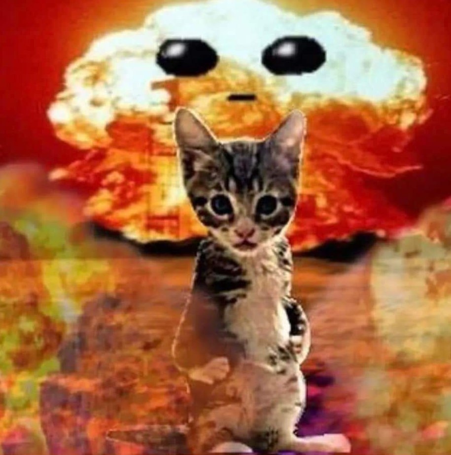Кот на фоне ядерного взрыва Маленький котенок стоит на фоне большого ядерного взрыва в форме инопланетянина