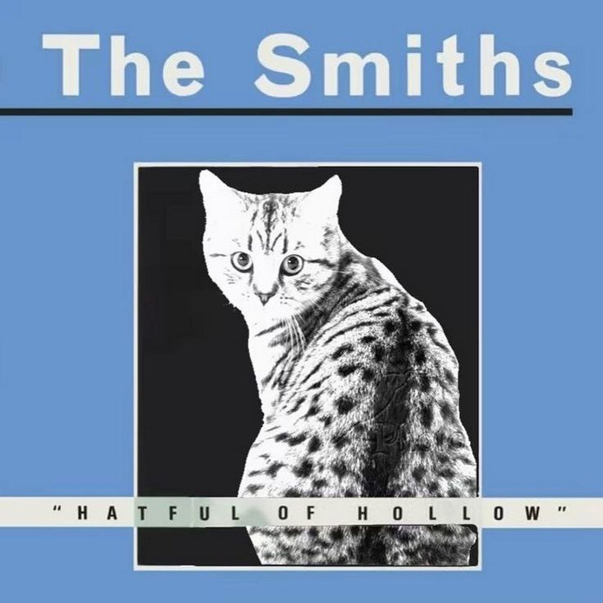 Кот на обложке "Hatful of Hollow" Мем с котом на обложке альбома The Smiths "Hatful of Hollow"