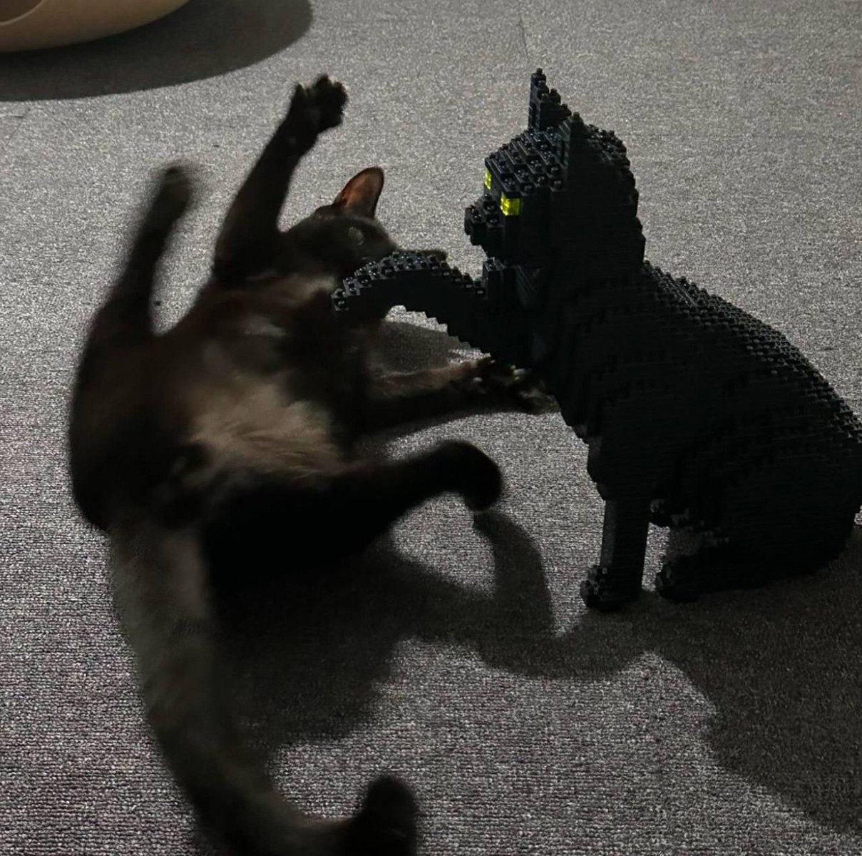 Кошка играет с лего-кошкой Черная кошка играет с черной фигурой кошки из лего, сделанной в виде скульптуры, которая выглядит как живая кошка, и светится глазами