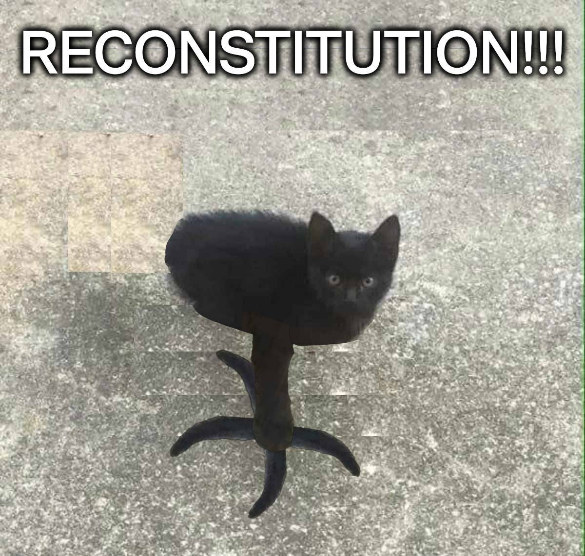 Котёнок на ножке RECONSTITUTION!!! Мем с чёрным котёнком на ножке от стула с надписью «RECONSTITUTION!!!»
