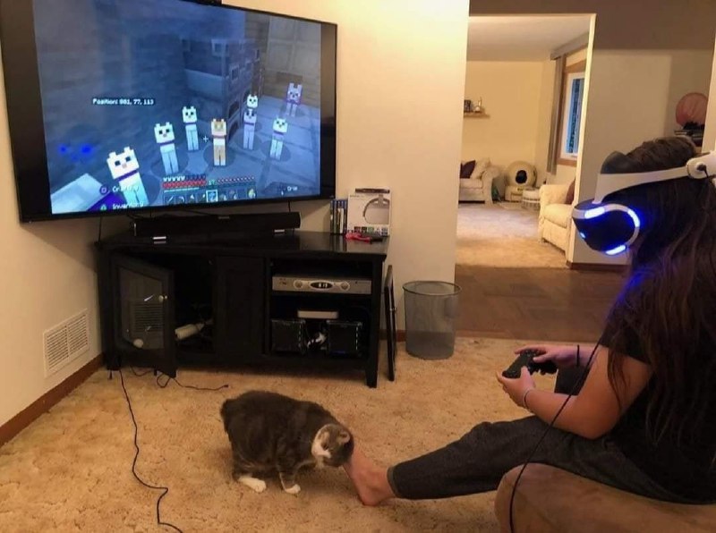 Кот трётся о ногу геймера Человек играет в VR-шлеме в Minecraft, а кот трется о его ногу, требуя внимания.