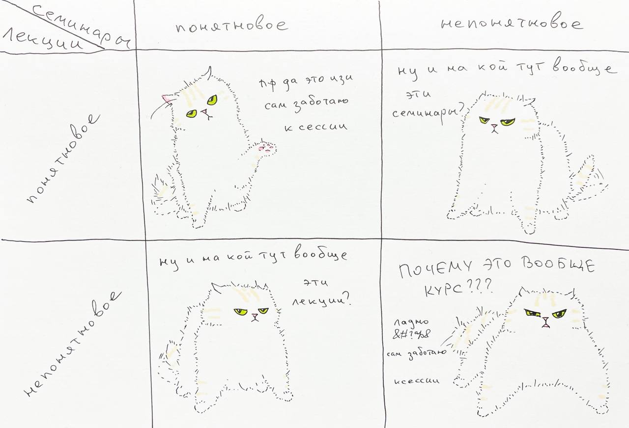 Кот и его отношение к учёбе Мем с недовольным котом и надписями про семинары, лекции и курсы