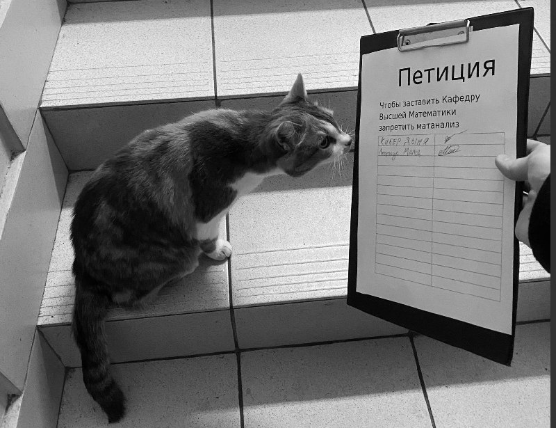 Кот подписывает петицию за запрет матанализа Кот внимательно изучает петицию о запрете математического анализа на кафедре Высшей математики, которую держит в руке человек.