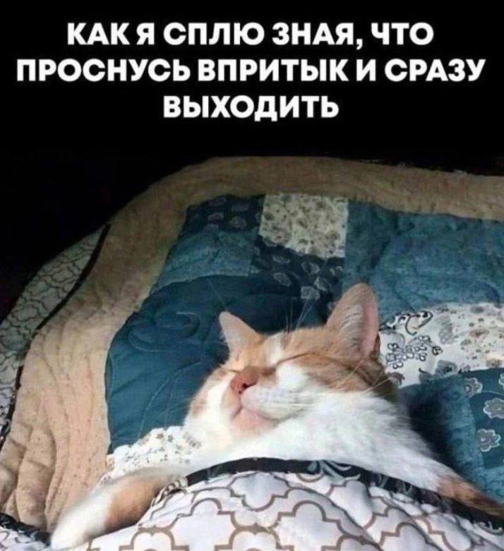 Как я сплю зная, что проснусь впритык Рыжий кот сладко спит в кровати под одеялом, зная, что проснется впритык и сразу нужно будет куда-то идти.