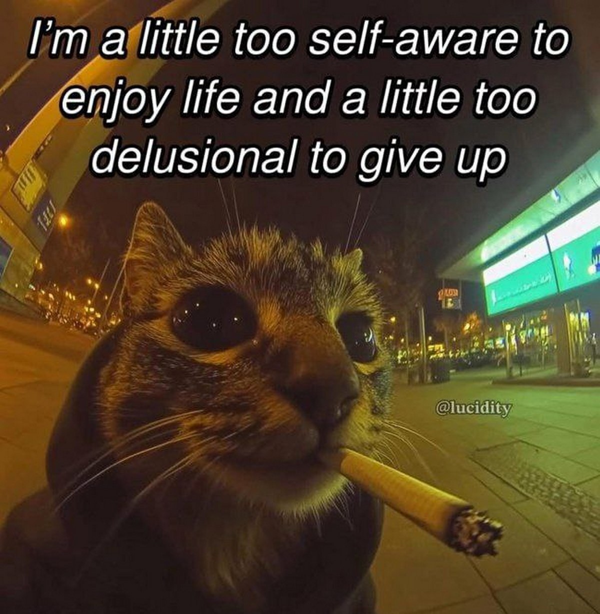 Кот курит I'm a little too self-aware to enjoy life Кот, курящий сигарету на фоне ночного города, с надписью I'm a little too self-aware to enjoy life and a little too delusional to give up