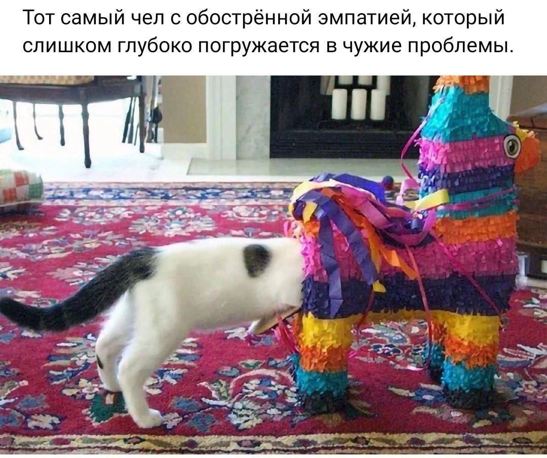 Кот застрял в пиньяте Кот засунул голову в пиньяту, показывая излишнюю эмпатию