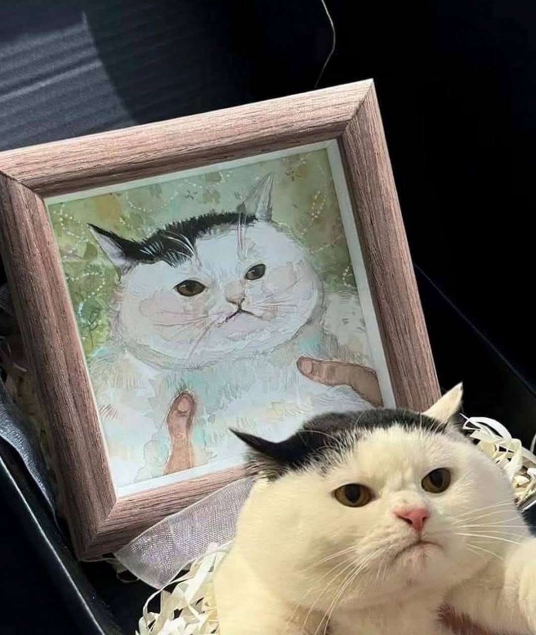 Кот, которого нарисовали Кот на фоне своей картины