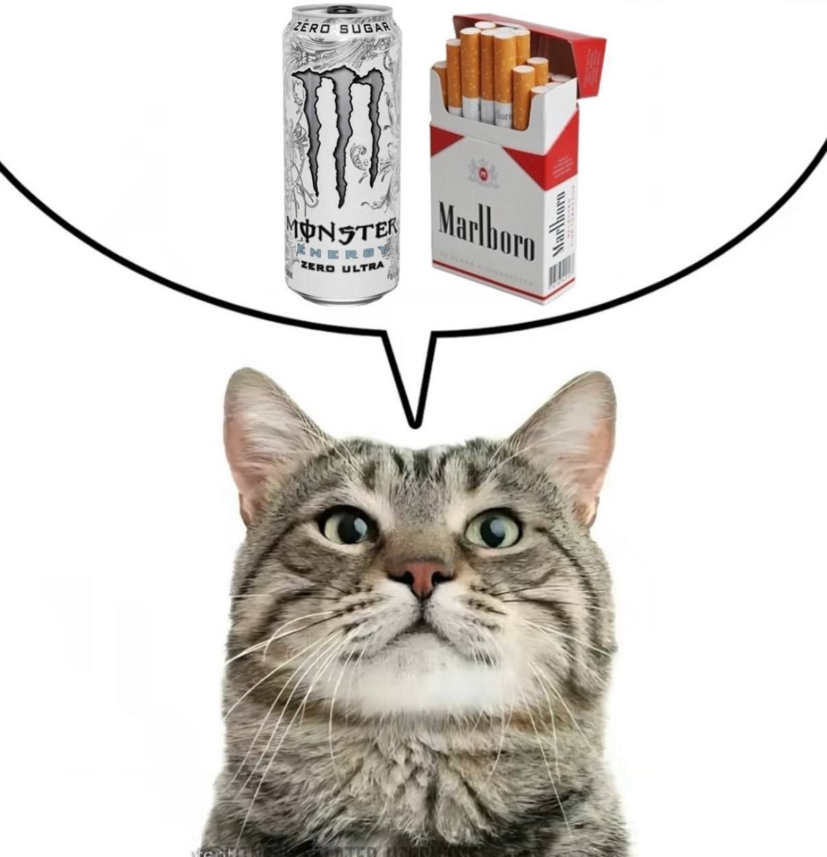 Кот думает о Monster и Marlboro Кот, который смотрит вверх, а над его головой изображены энергетический напиток Monster Zero Sugar и пачка сигарет Marlboro.