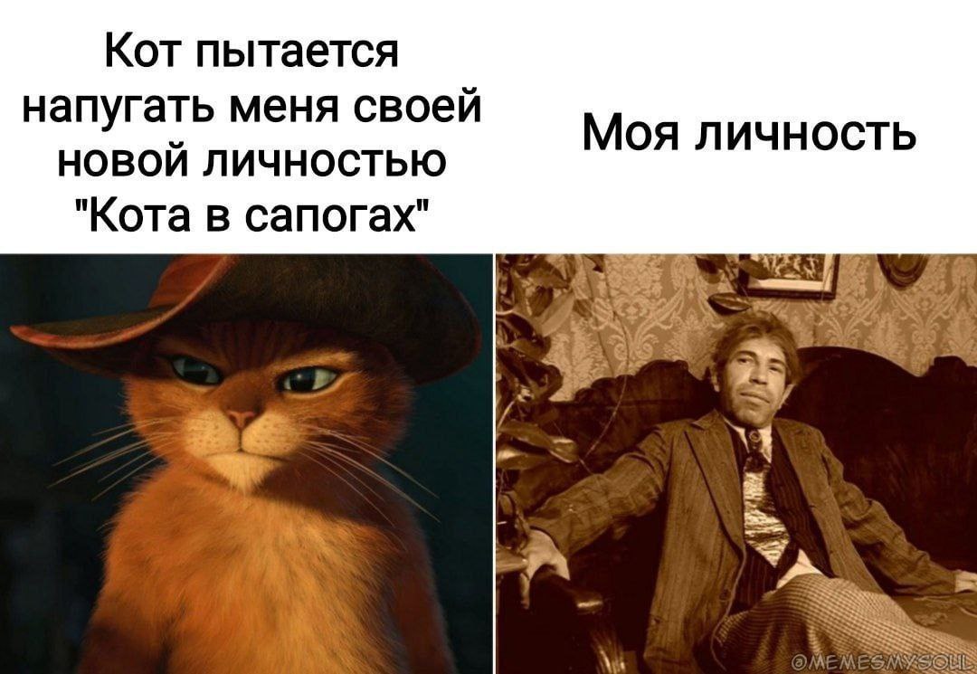 Кот пытается напугать меня своей новой личностью Кота в сапогах Мем, где Кот в сапогах пытается напугать, но встречает более суровую личность. Кот в сапогах и суровый мужчина.