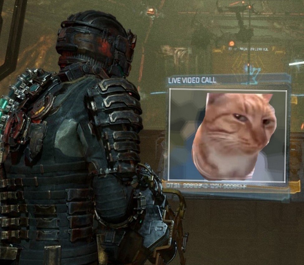 Кот на видеозвонке в Dead Space Рыжий кот на видеозвонке Айзека Кларка в игре Dead Space