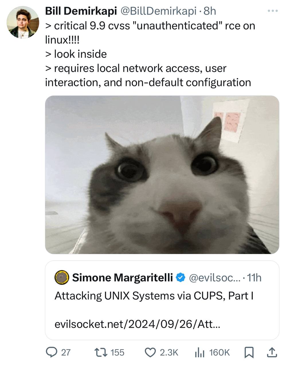 Кот с широко раскрытыми глазами и уязвимость в Linux Кот с большими глазами на скриншоте твита про критическую уязвимость в Linux