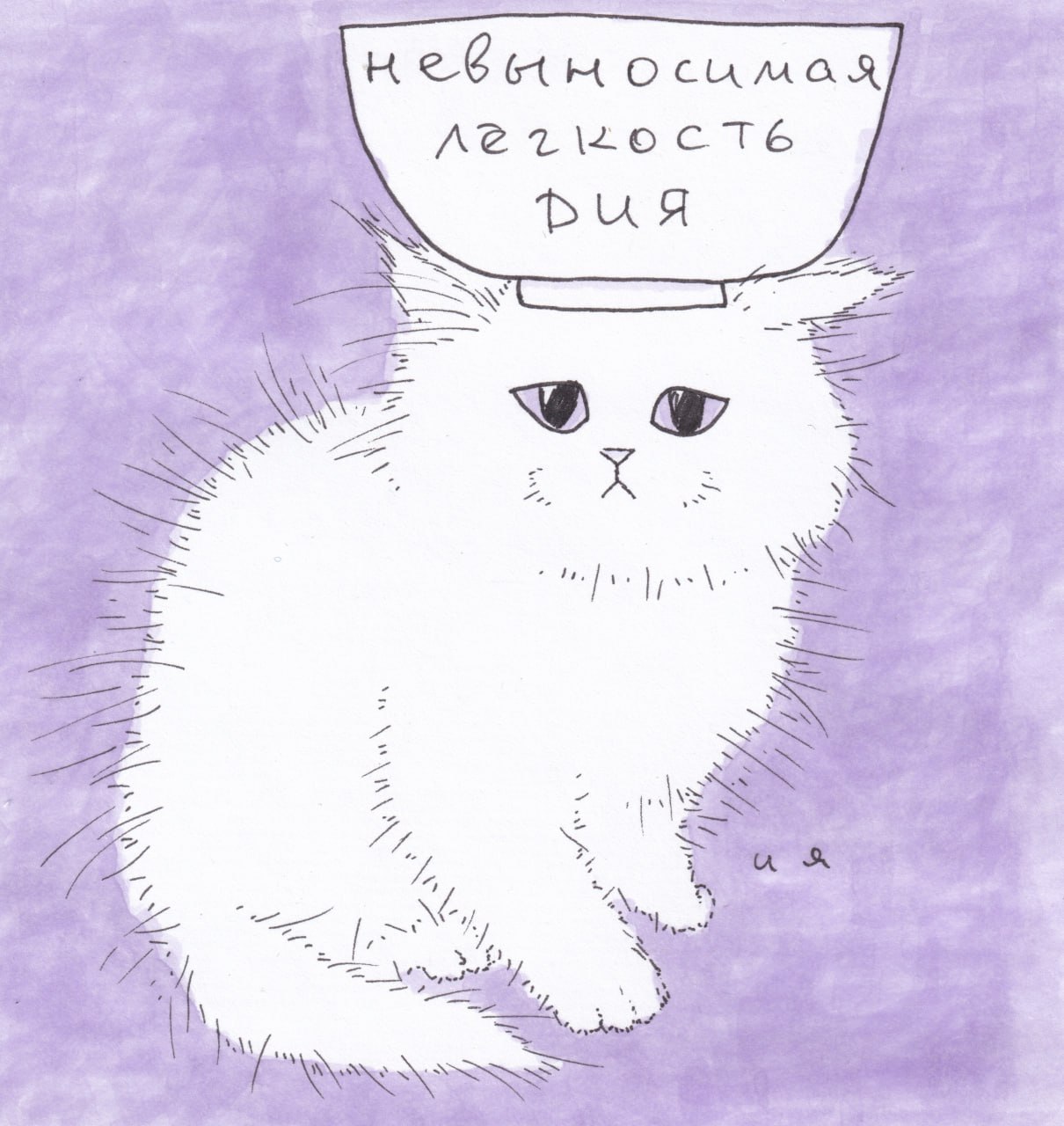 Кот с миской на голове невыносимая легкость бытия Мем с белым пушистым котом, у которого на голове тарелка с надписью «Невыносимая легкость бытия»