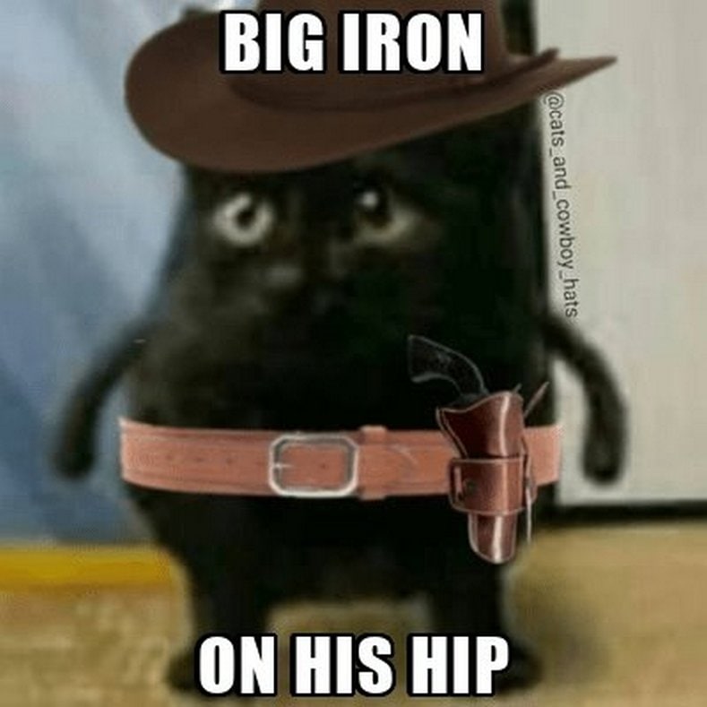 Big iron cat Кот в ковбойской шляпе с револьвером на бедре