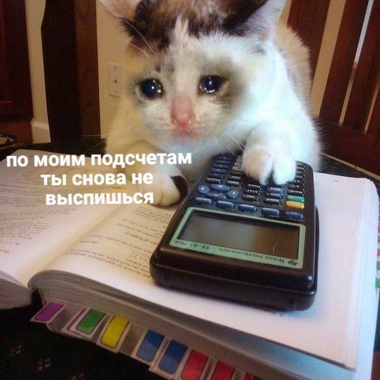 Кот с калькулятором Грустный котенок с калькулятором, который "посчитал", что ты не выспишься.