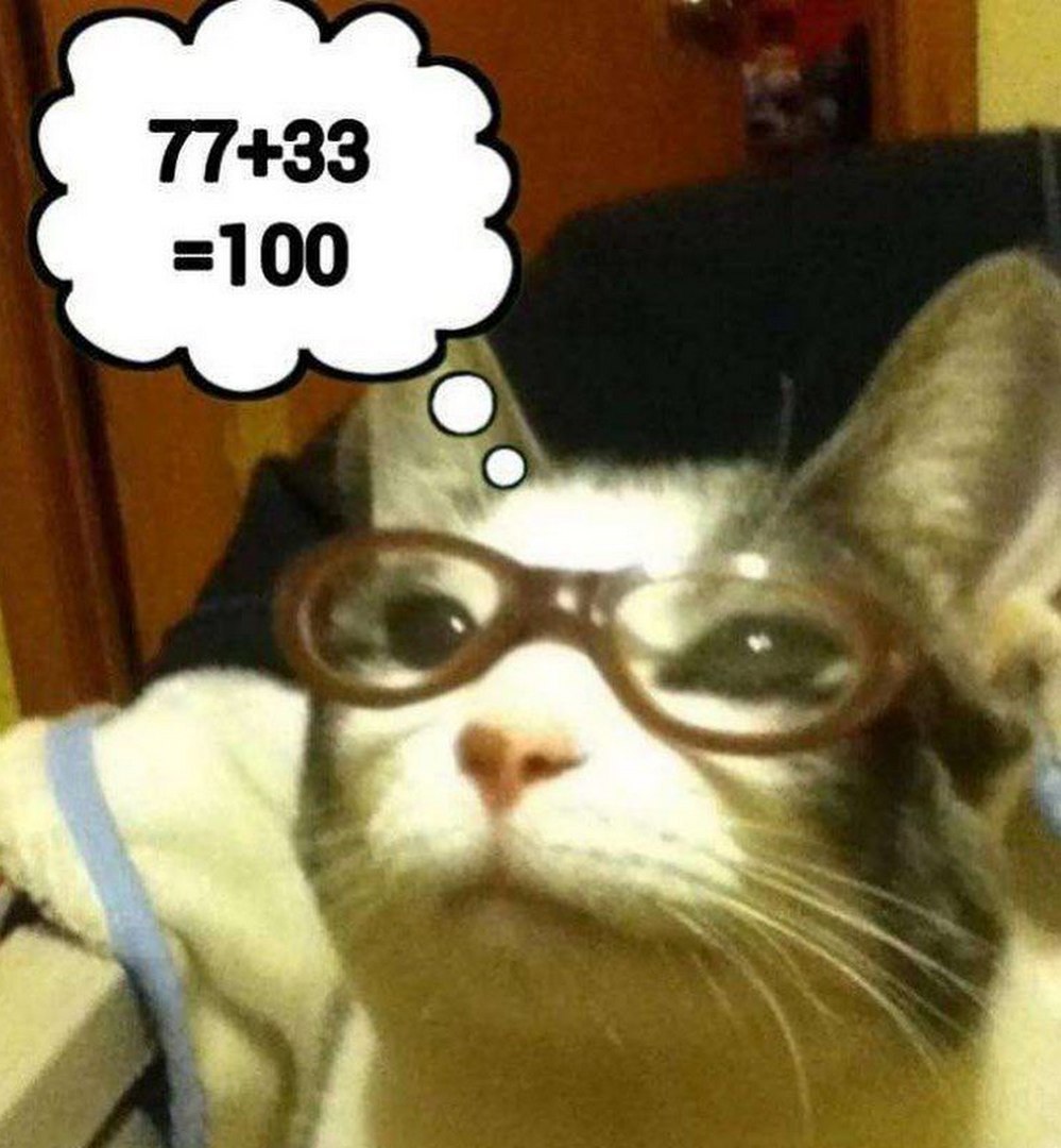 Кот в очках 77+33=100 Мем с котом в очках, который "думает", что 77+33=100