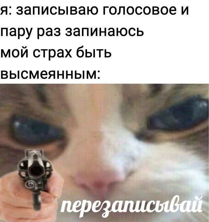 Кот с пистолетом перезаписывай Мем с котом с пистолетом, который требует перезаписать голосовое сообщение, если запнулся