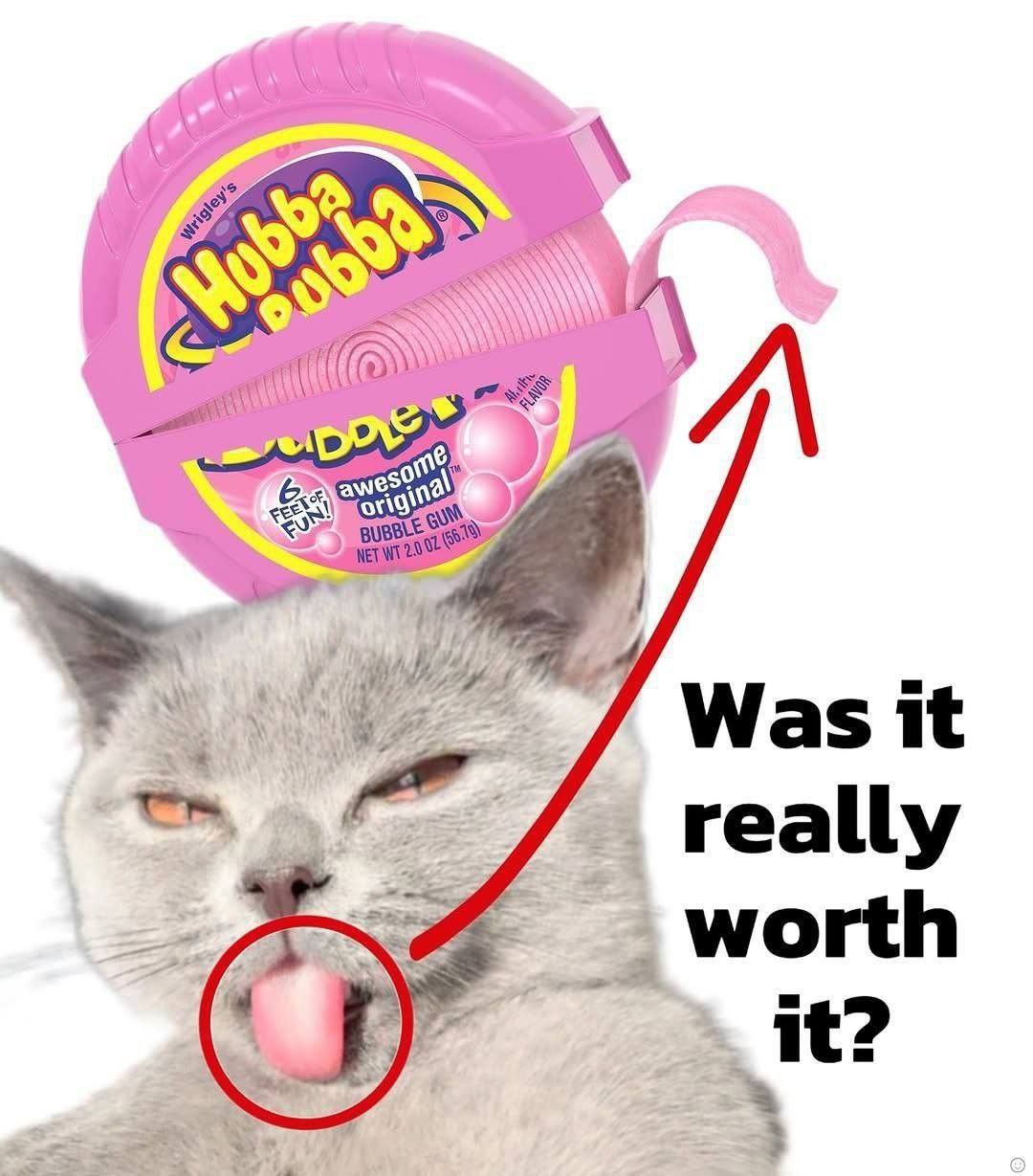 Кот с Hubba Bubba Was it really worth it Мем с котом, который пробует жвачку Hubba Bubba и задается вопросом, стоило ли оно того