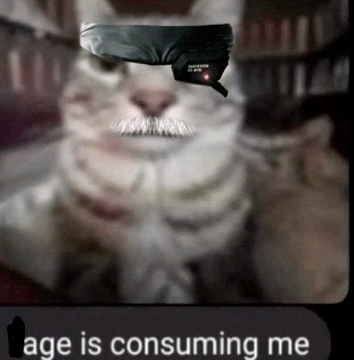 Age is consuming me Кот в очках ночного видения с усами
