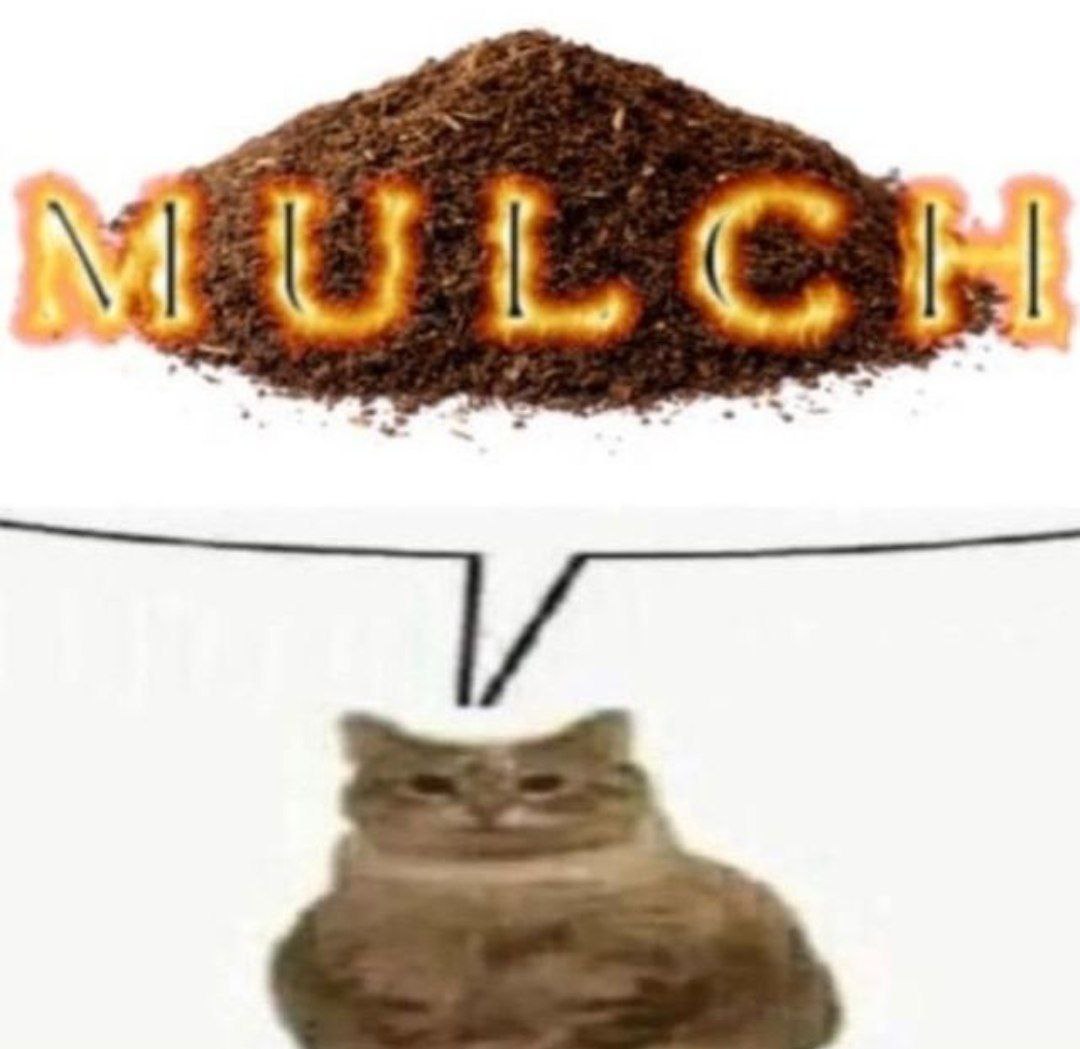 Кот с мыслью про мульчу Кот, который думает о мульче, с пылающей надписью «MULCH» на куче земли