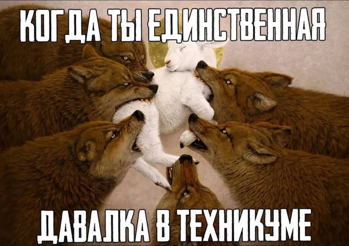 Белая кошка в окружении множества волков с надписью «Кот, да ты единственная. Давай пока в техникуме».