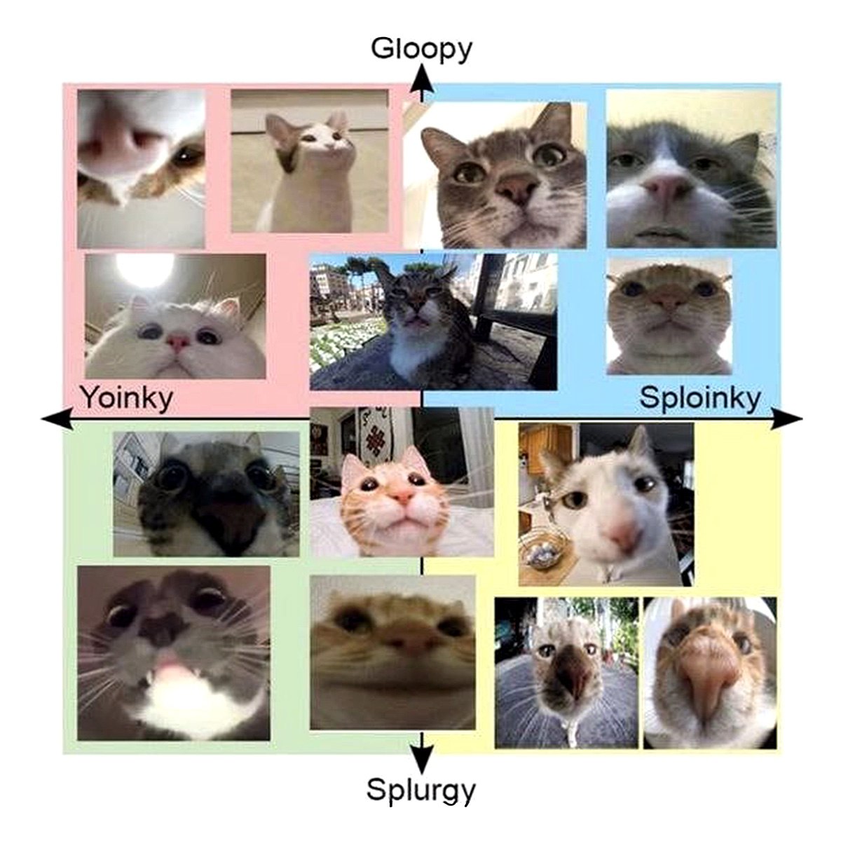 Шкала выравнивания кошек Gloopy Yoinky Sploinky Splurgy Мем с графиком, где на каждой оси показаны различные категории фотографий кошек с названиями «Gloopy», «Yoinky», «Sploinky» и «Splurgy».