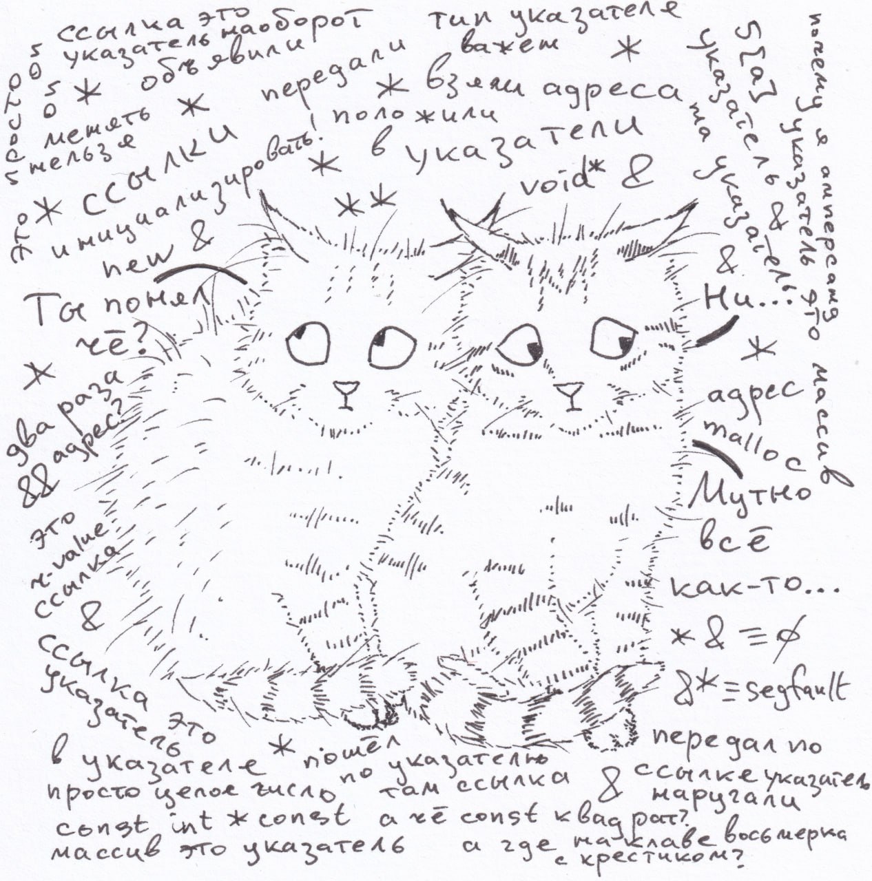 Коты и C++ указатели ссылки Мем с двумя нарисованными котиками и обилием текста о программировании на C++ про указатели и ссылки.