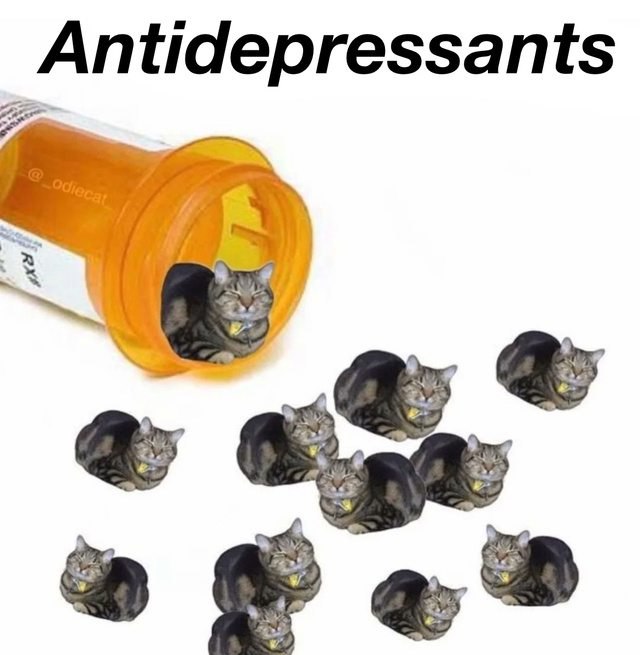 Antidepressants коты Мем с баночкой кошек, высыпающихся из контейнера для таблеток на белом фоне с надписью "Antidepressants".