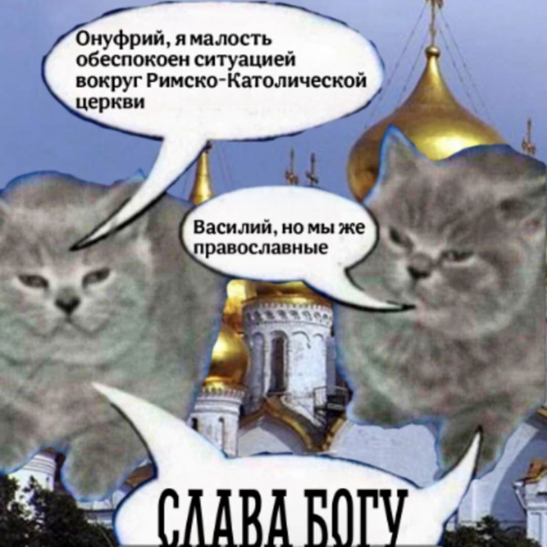 Коты обеспокоены ситуацией вокруг Римско-Католической церкви Коты обсуждают ситуацию вокруг Римско-Католической церкви, будучи православными