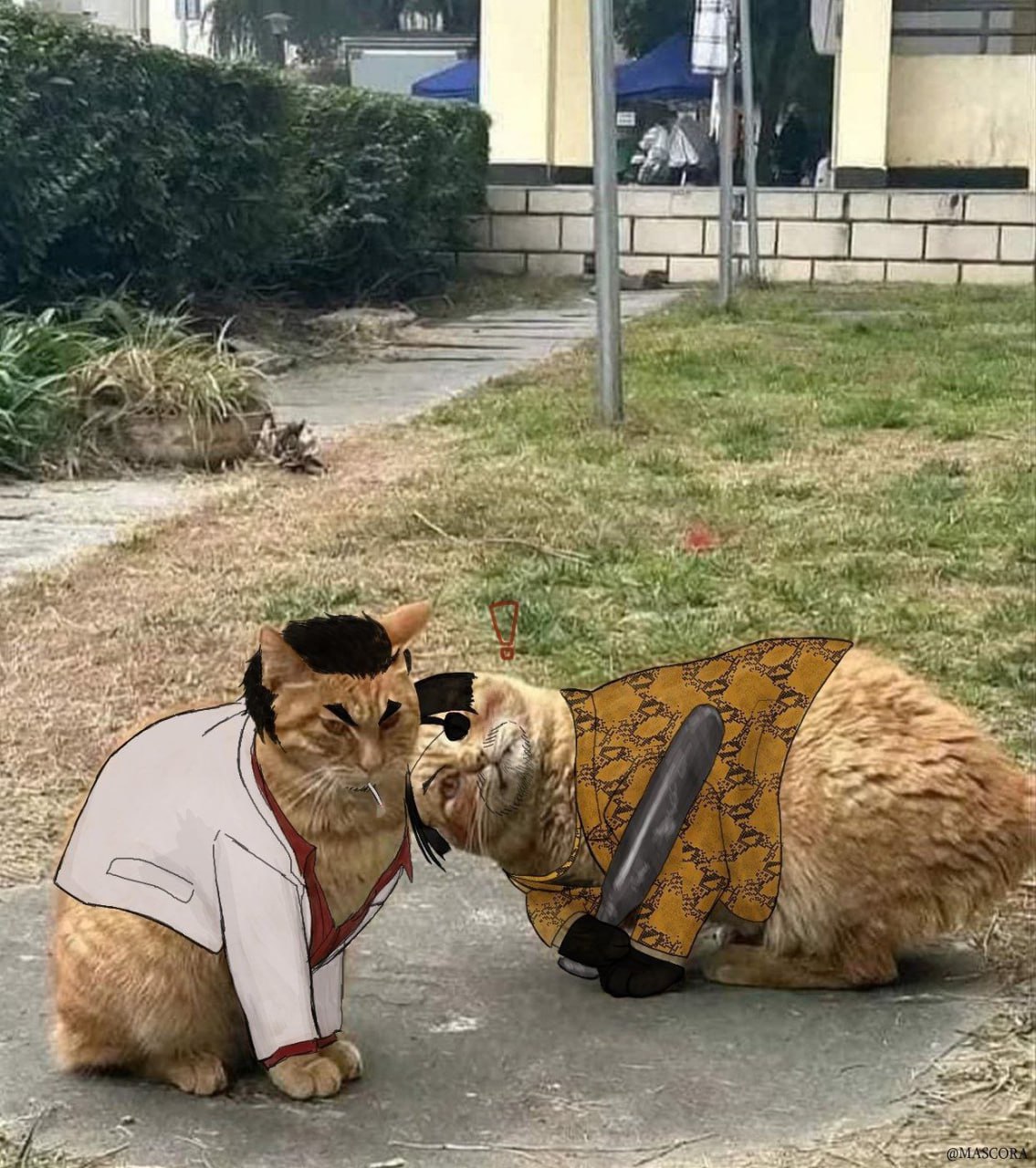 Коты из якудзы Коты из якудзы с нарисованной одеждой