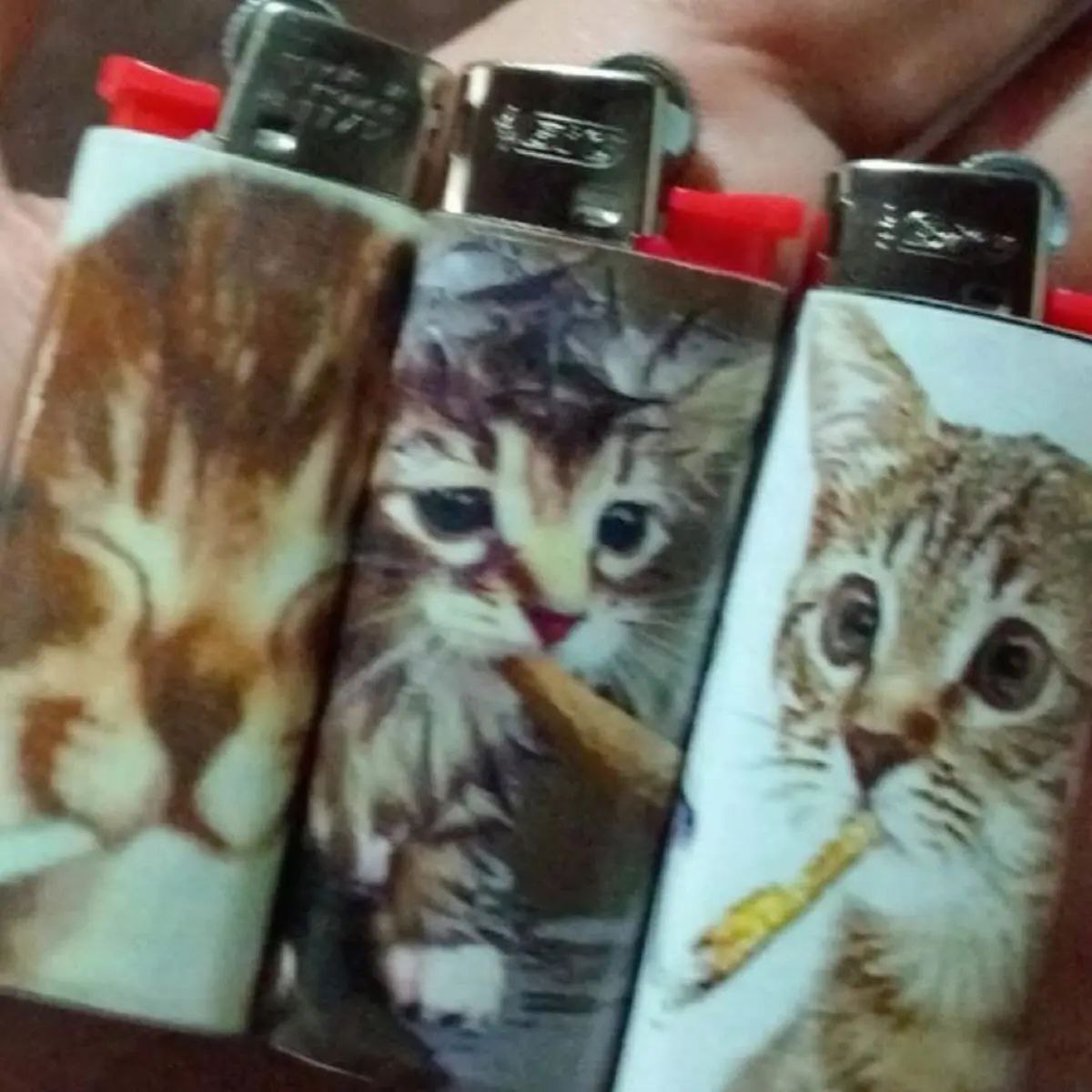 Котята на зажигалках Фотография трех зажигалок с разными изображениями котят на них, включая котенка, держащего косяк.