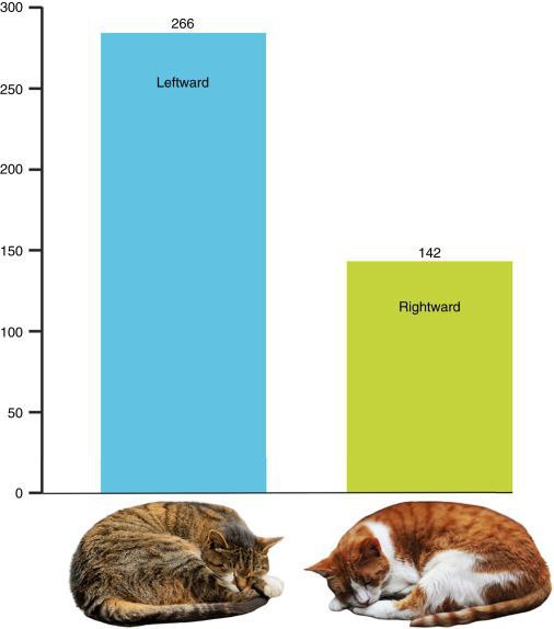 Кошки спят Leftward График, показывающий, что кошки чаще спят, свернувшись влево