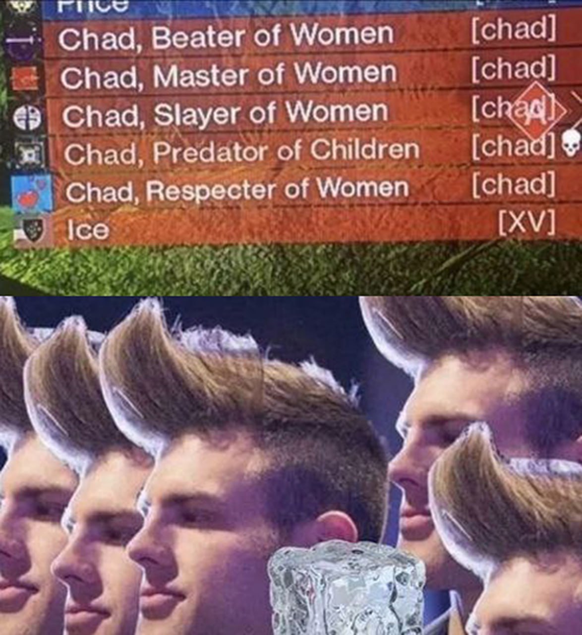 Chad, Respecter of Women и кубик льда Мем про Чада и кубик льда, где сверху показаны характеристики Чада, а снизу — Чады и кубик льда