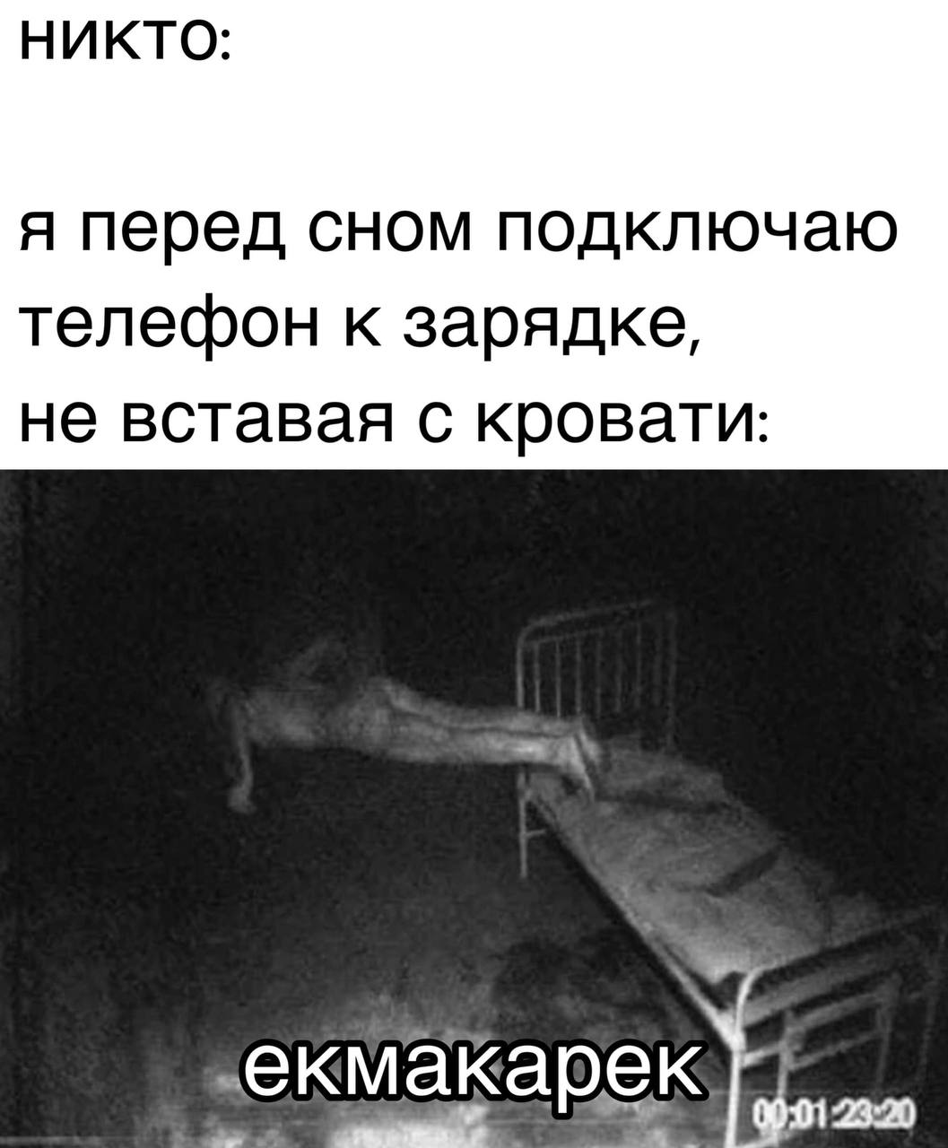 Я перед сном подключаю телефон к зарядке Существо, тянущееся к кровати, чтобы подключить телефон к зарядке.