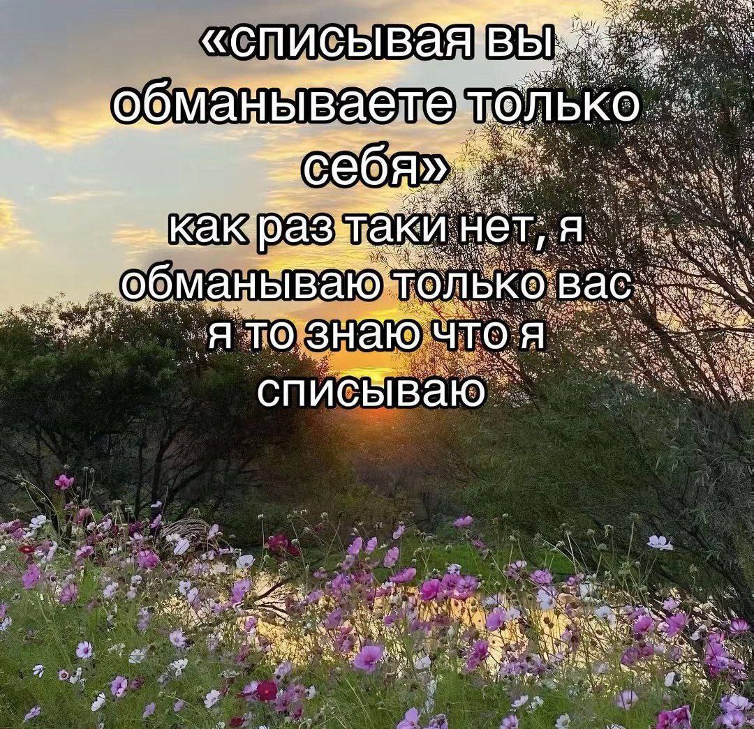 Списывая вы обманываете только себя Мем с надписью: «Списывая вы обманываете только себя». Как раз таки нет, я обманываю только вас. Я то знаю что я списываю, на фоне заката и цветущего поля.