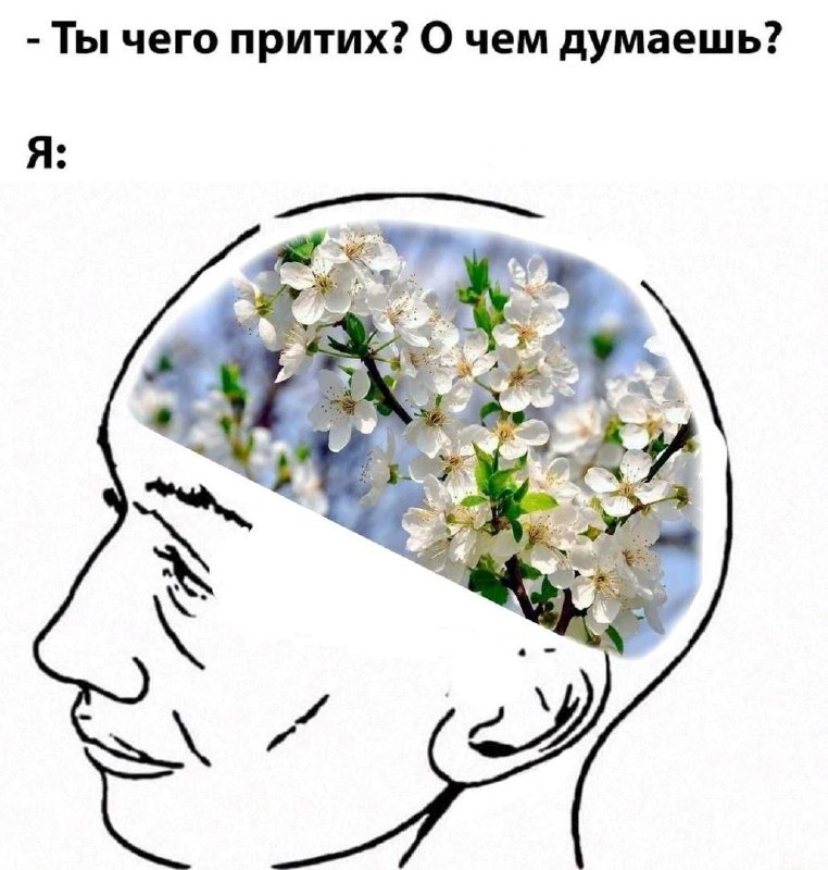 Ты чего притих? О чем думаешь? Я: Цветы Мем с человеком, в голове которого вместо мыслей цветы
