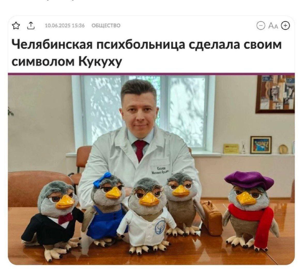 Челябинская психбольница сделала своим символом Кукуху Главврач Челябинской психоневрологической больницы с мягкими игрушками кукухами, которые стали символом учреждения