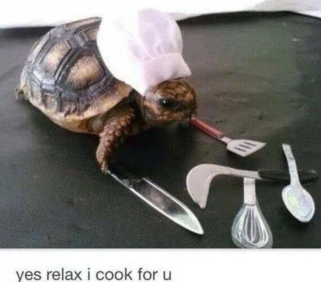 Черепаха повар с текстом yes relax i cook for u Черепаха в поварском колпаке с кухонными принадлежностями и подписью: yes relax i cook for u
