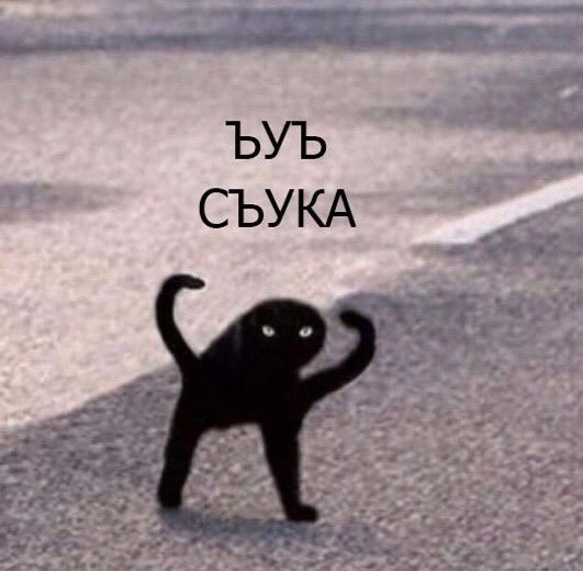 Чёрный кот вуъ съука Мем с чёрным котом, который говорит вуъ съука