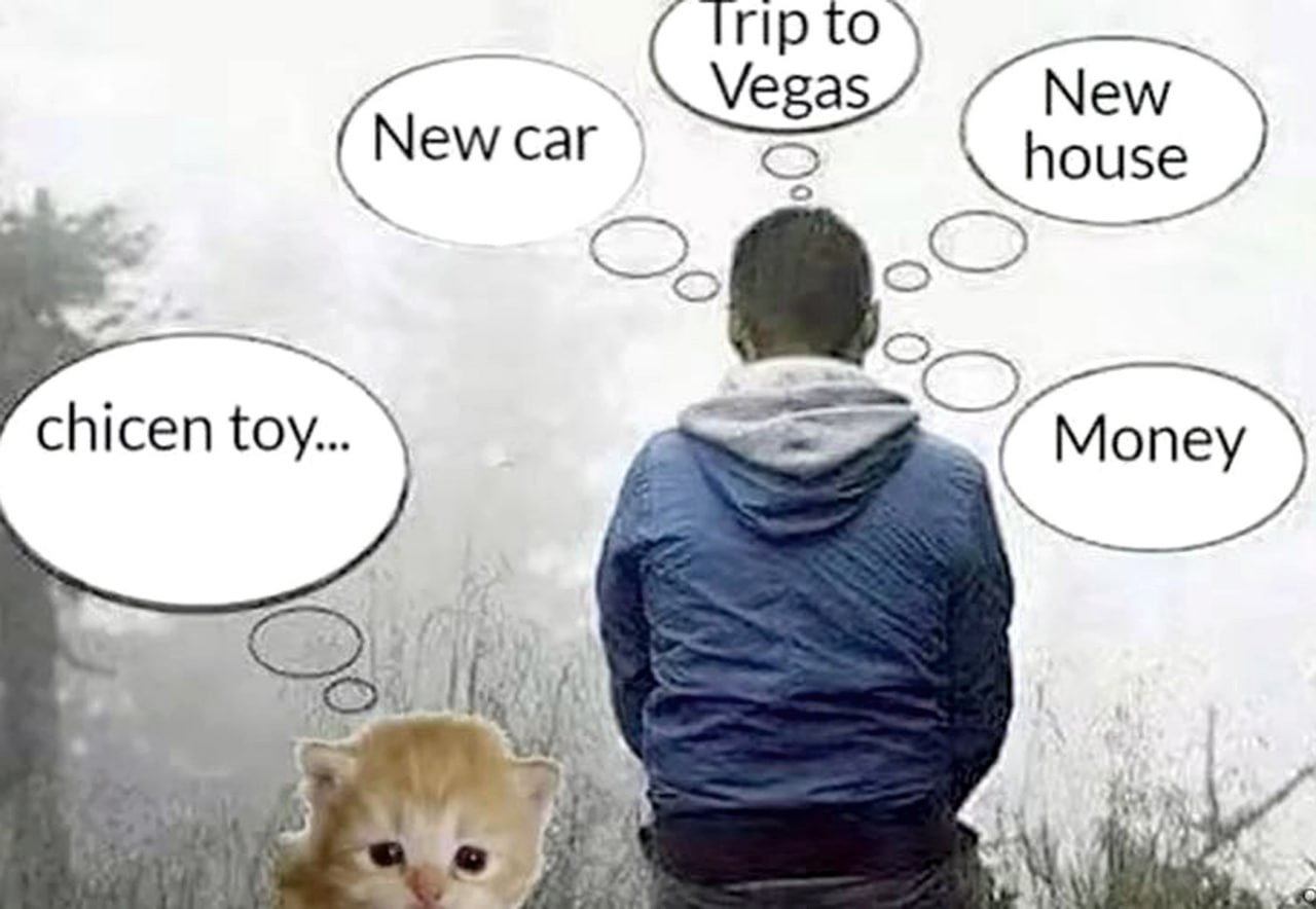 Chicen toy Мужчина и котенок с облаками мыслей