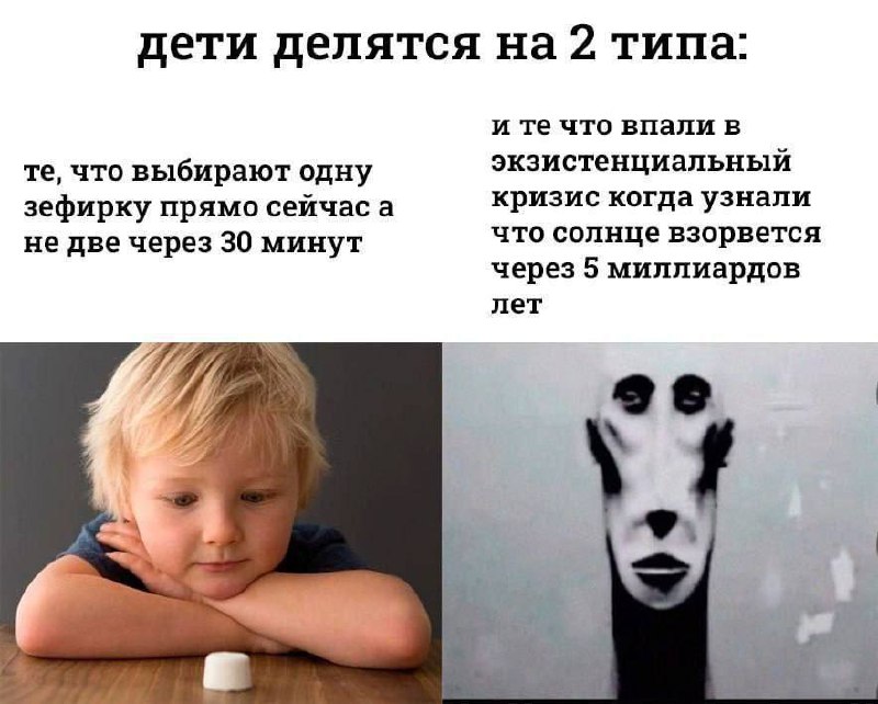 Мем про то, как дети делятся на 2 типа: те, кто выбирают зефирку прямо сейчас, и те, кто впал в экзистенциальный кризис от осознания, что солнце взорвется через 5 миллиардов лет