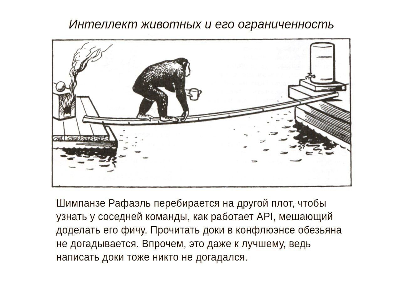 Шимпанзе перебирается на другой плот Шимпанзе Рафаэль перебирается на другой плот, чтобы узнать, как работает API соседней команды