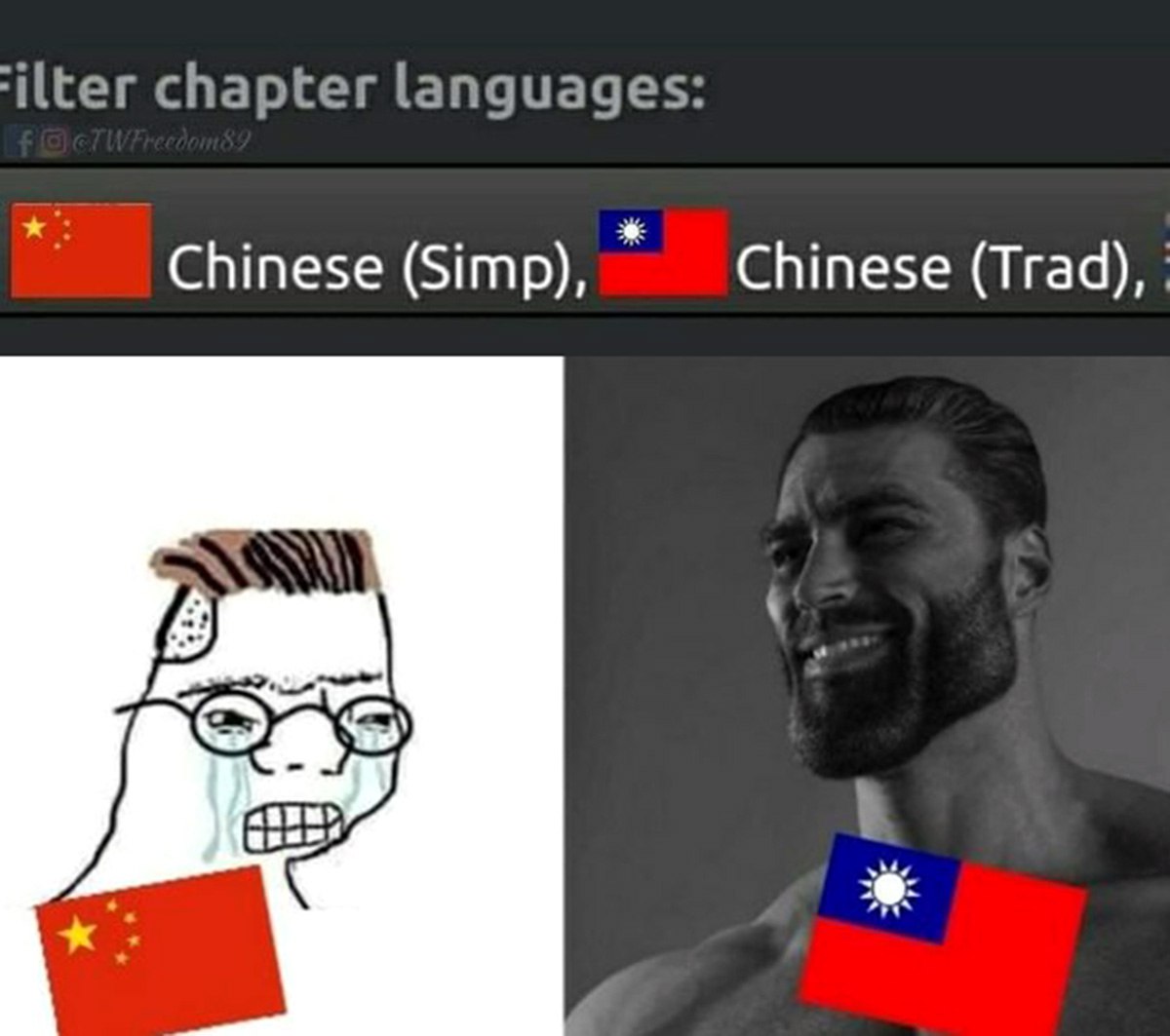 Chinese (Simp) vs Chinese (Trad) Мем со сравнением флагов Китая и Тайваня с помощью wojak и гигачада, основанный на фильтре языков.